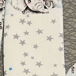 Les protèges livrets de famille